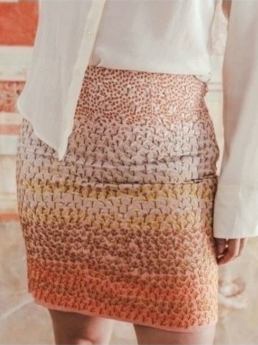 Anthropology HD In Paris Ombré Floral Embroidered Skirt Size 8